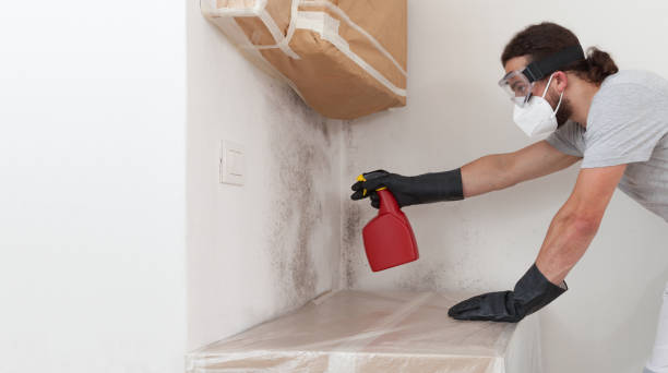 Professional Basement Mold Removal technician working in Glenville, PA