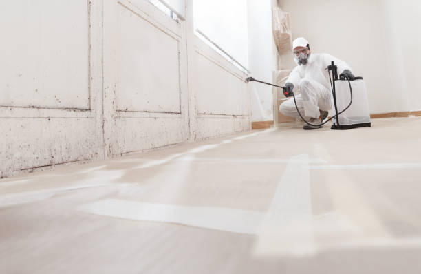 24/7 Emergency Basement Mold Removal experts in Glenville, PA