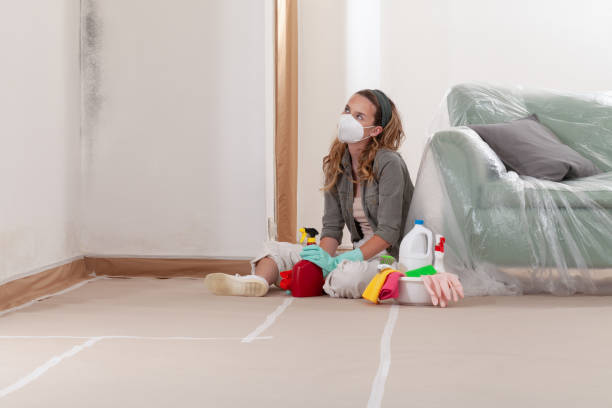 Reliable Basement Mold Removal contractor in Glenville, PA by WQB Mold Removal